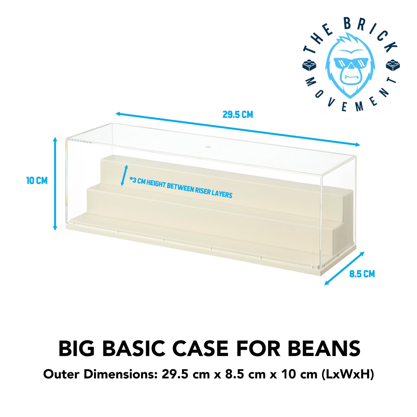 Basic Rectangular Display Case (for Blindbox Beans)