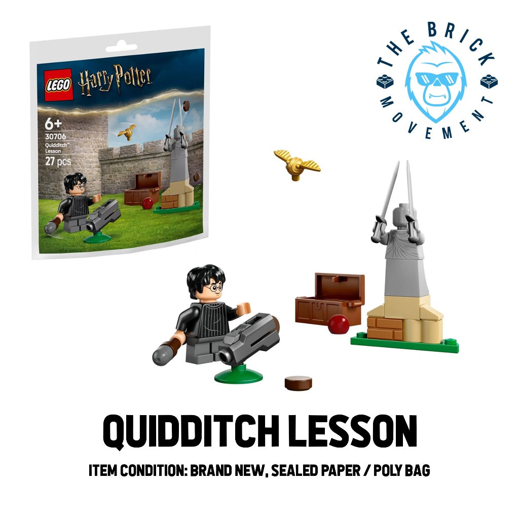 LEGO HARRY POTTER Quidditch Lesson Polybag / Paper Bag