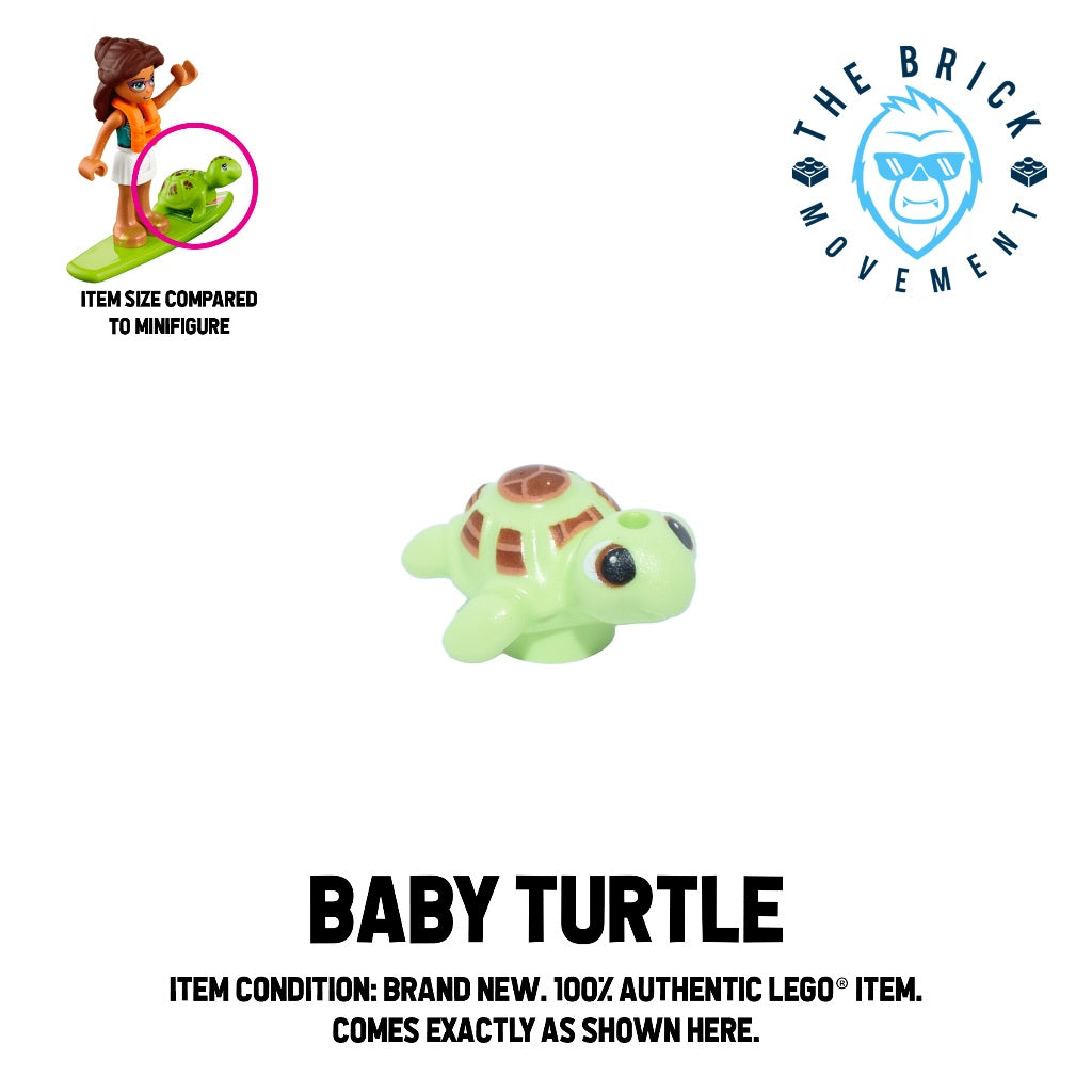 ACCESSORIES - ANIMAL - Baby Turtle