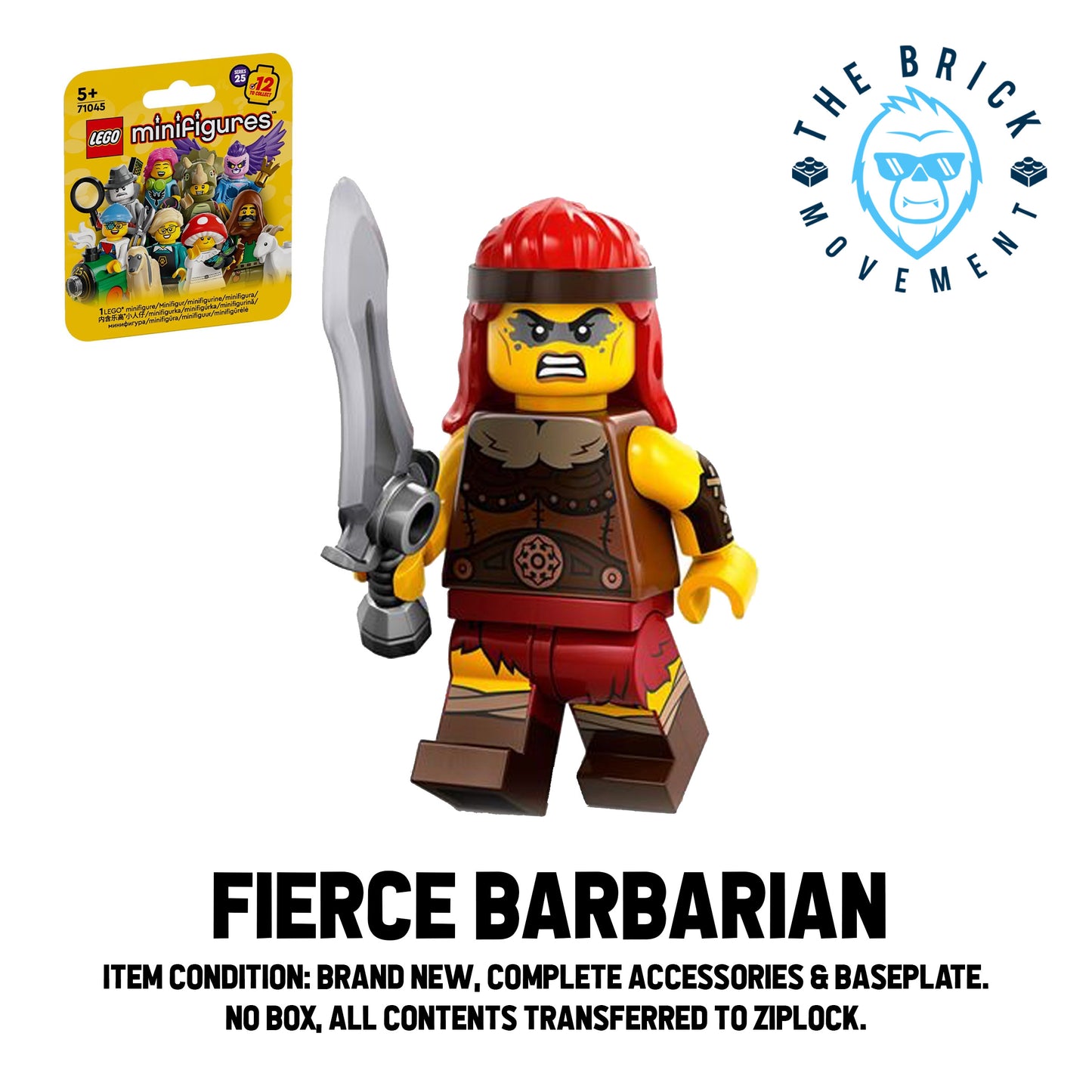 LEGO Collectible Minifigure Series 25: Single Character Minifigure