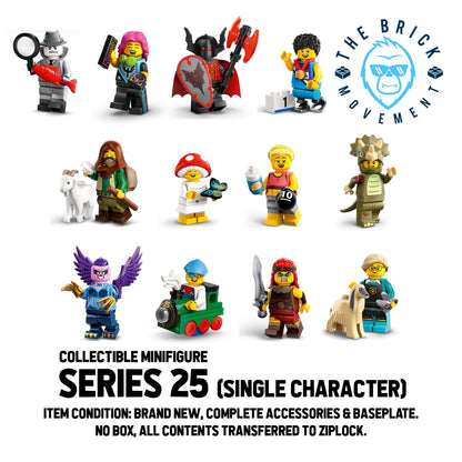 LEGO Collectible Minifigure Series 25: Single Character Minifigure