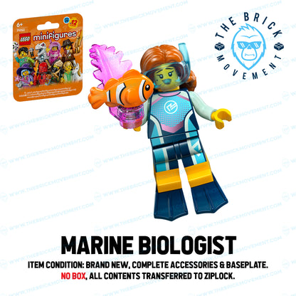 LEGO Collectible Minifigure Series 29: Single Character Minifigure