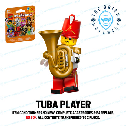 LEGO Collectible Minifigure Series 29: Single Character Minifigure