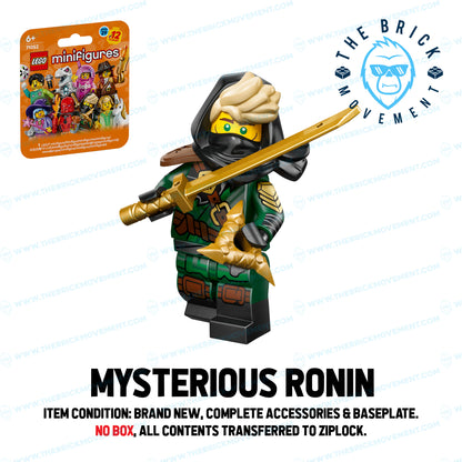 LEGO Collectible Minifigure Series 29: Single Character Minifigure
