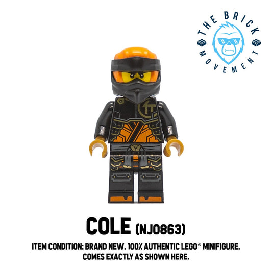 LEGO NINJAGO Cole Minifigure (njo863)
