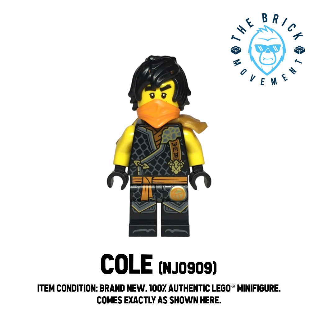 LEGO NINJAGO Cole Minifigure