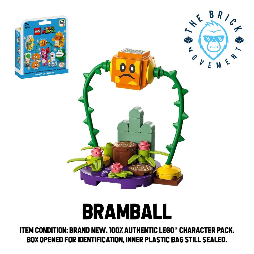 LEGO SUPER MARIO Character Pack Series 6