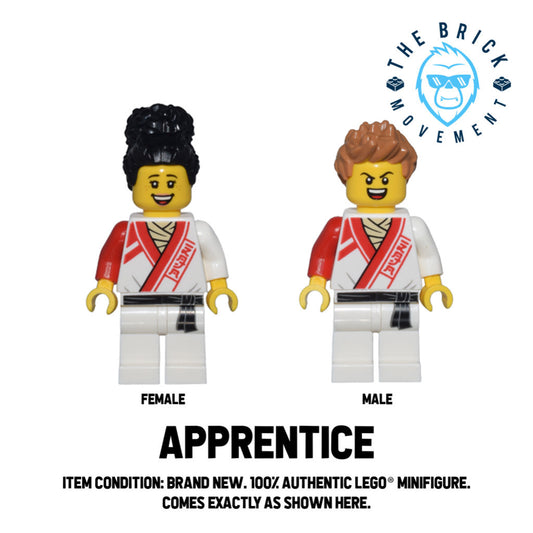 LEGO NINJAGO Apprentice Minifigure