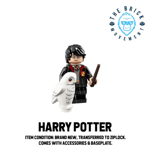 LEGO Collectible Minifigure Series HARRY POTTER 1: Harry Potter Minifigure