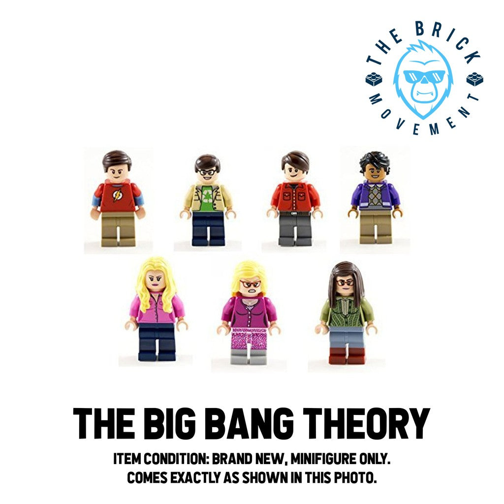 LEGO IDEAS Big Bang Theory Minifigure Lot