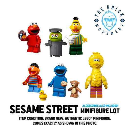 LEGO IDEAS Sesame Street Minifigure Lot