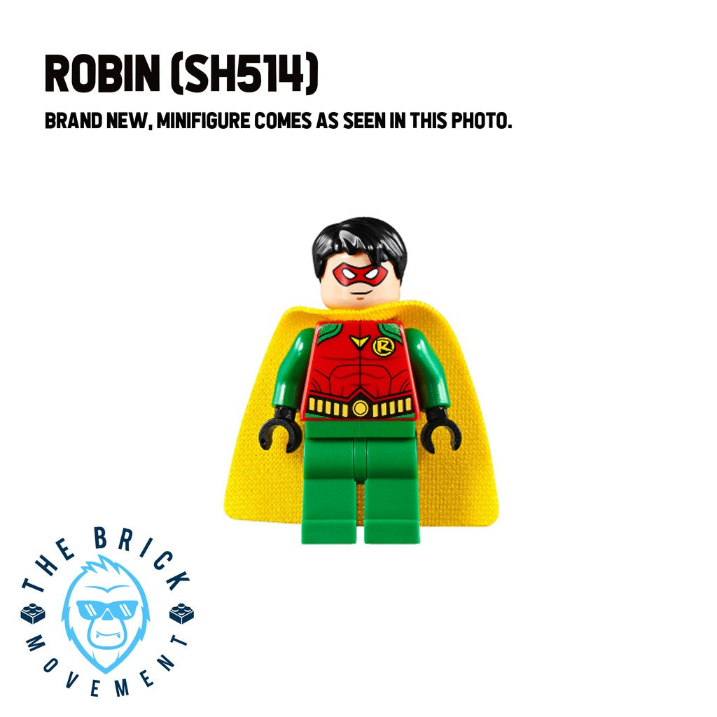 LEGO DC Robin Minifigure