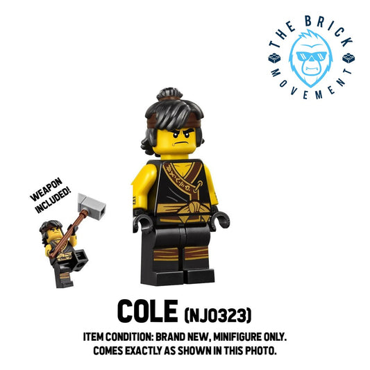 LEGO NINJAGO Cole Minifigure