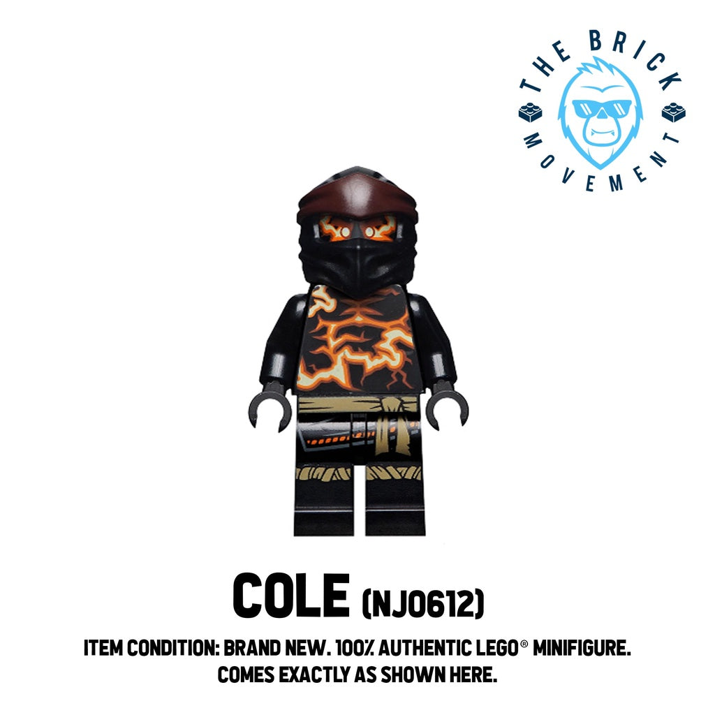 LEGO NINJAGO Cole (Spinjitzu Burst) Minifigure