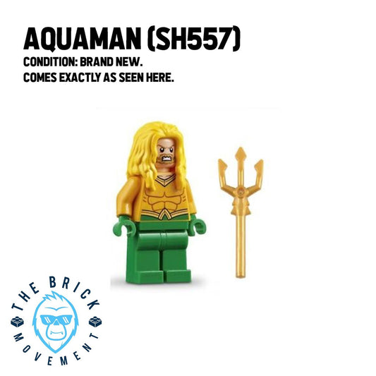 LEGO DC Aquaman Minifigure