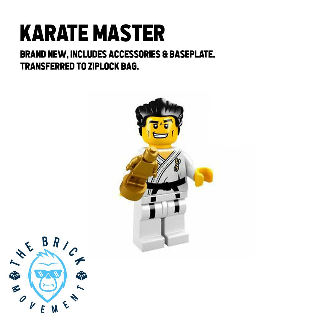 LEGO Collectible Minifigure Series 2: Karate Master Minifigure