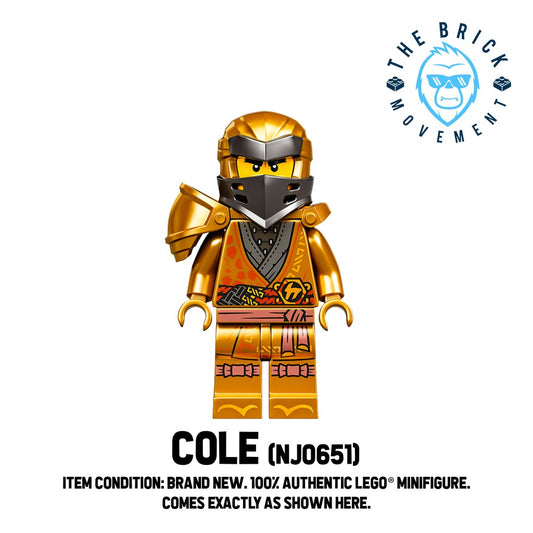 LEGO NINJAGO Cole (Legacy, Pearl Gold Robe) Minifigure