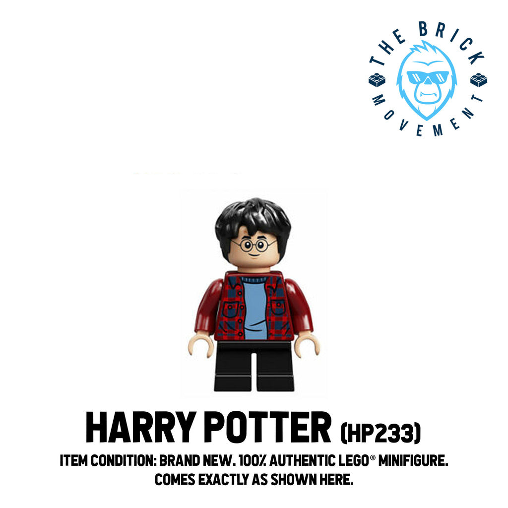 LEGO HARRY POTTER Minifigure