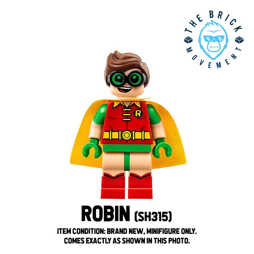 LEGO DC Robin Minifigure