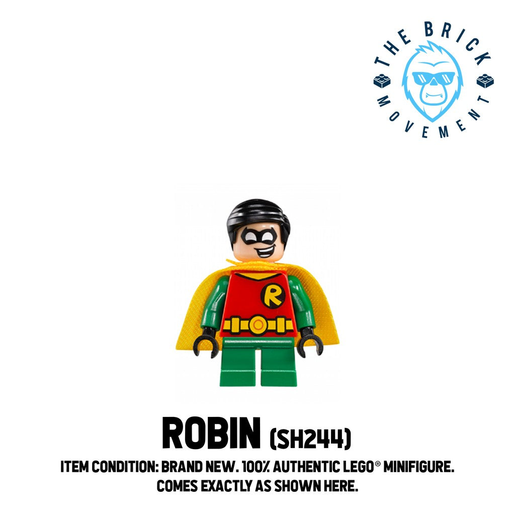 LEGO DC Robin Minifigure