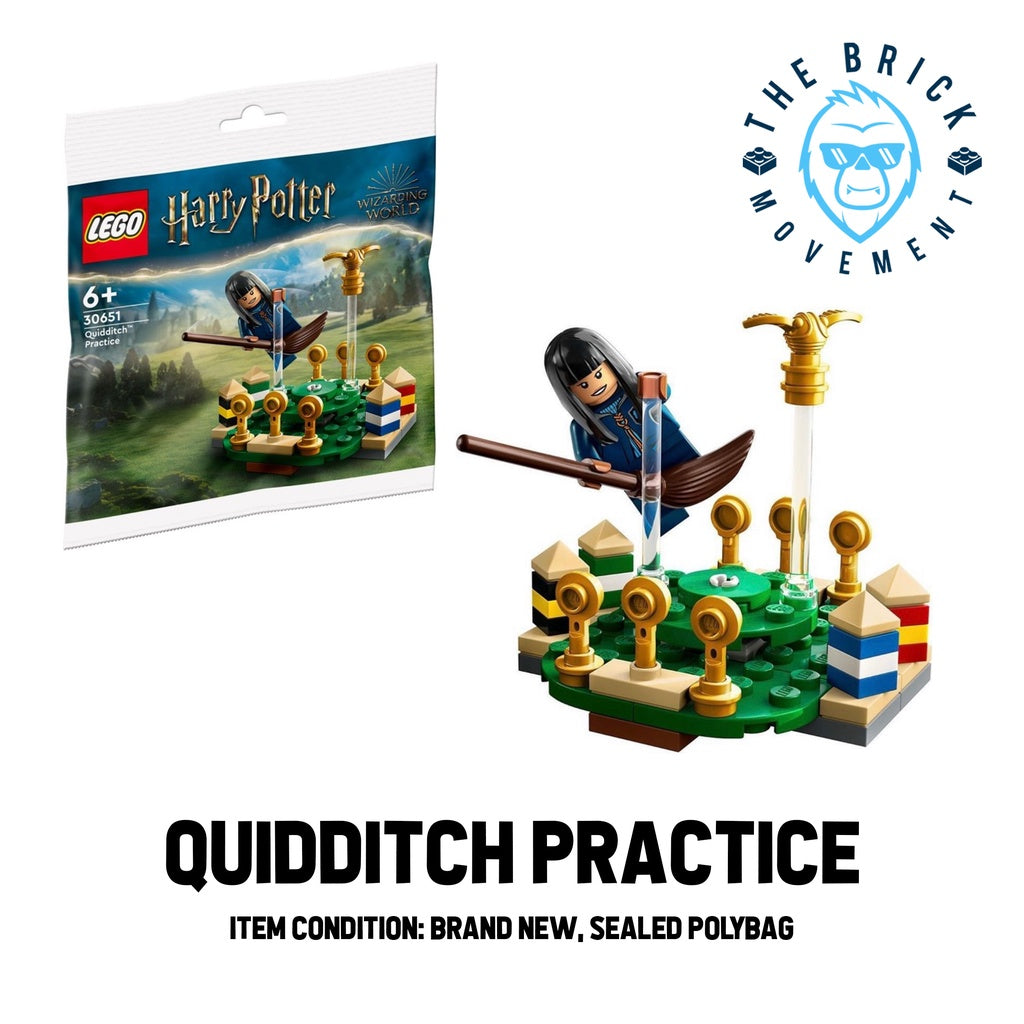 LEGO HARRY POTTER Quidditch Practice Polybag