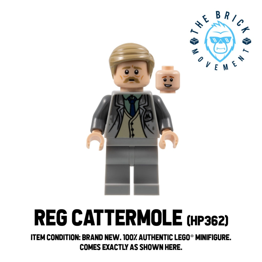 LEGO HARRY POTTER Reg Cattermole Minifigure